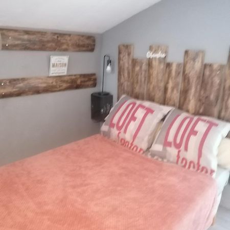 Apartmán Chambre 23M2 Avec Jardin Wi-Fi Gratuit Saint-Girons Exteriér fotografie