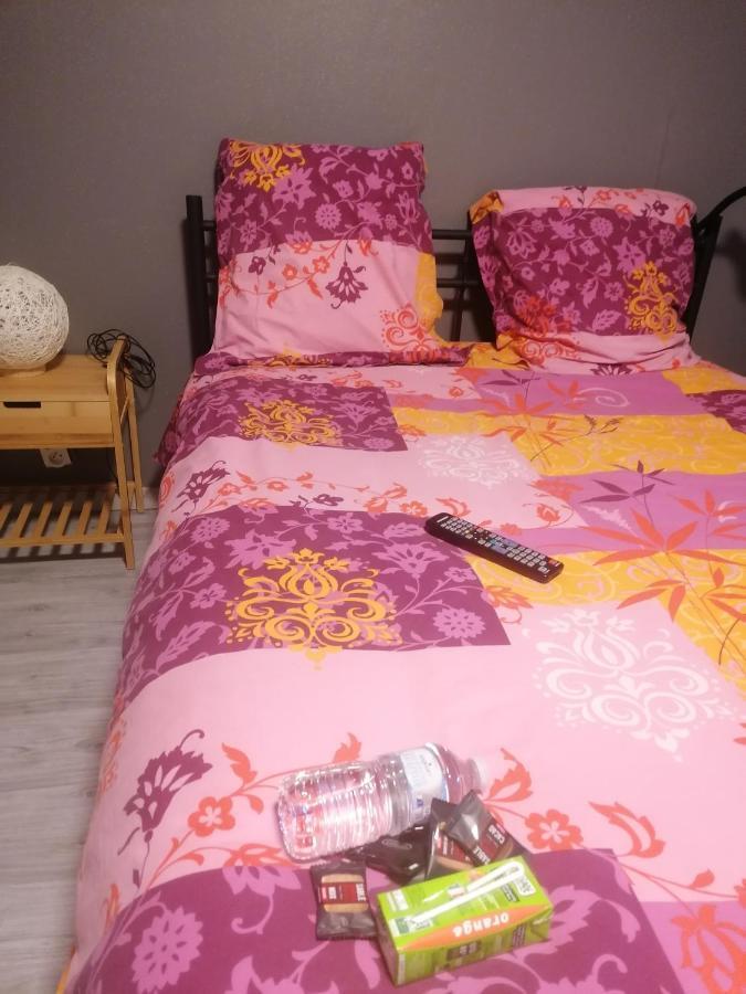 Apartmán Chambre 23M2 Avec Jardin Wi-Fi Gratuit Saint-Girons Exteriér fotografie