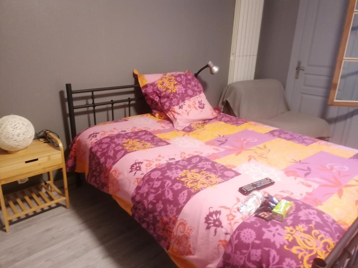 Apartmán Chambre 23M2 Avec Jardin Wi-Fi Gratuit Saint-Girons Exteriér fotografie