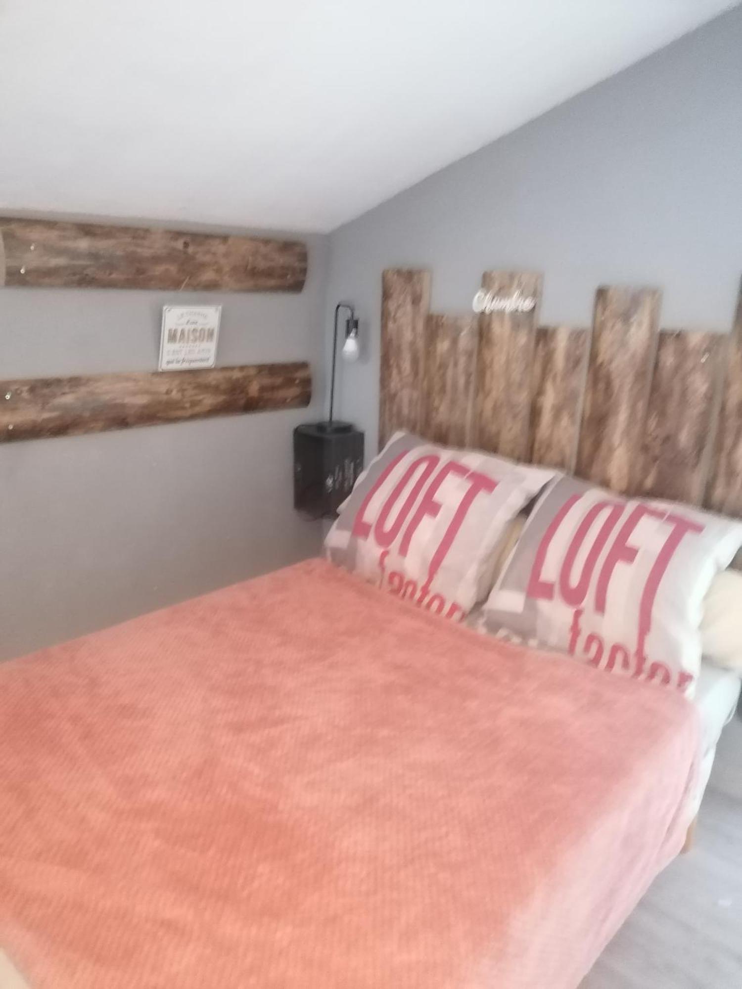 Apartmán Chambre 23M2 Avec Jardin Wi-Fi Gratuit Saint-Girons Exteriér fotografie